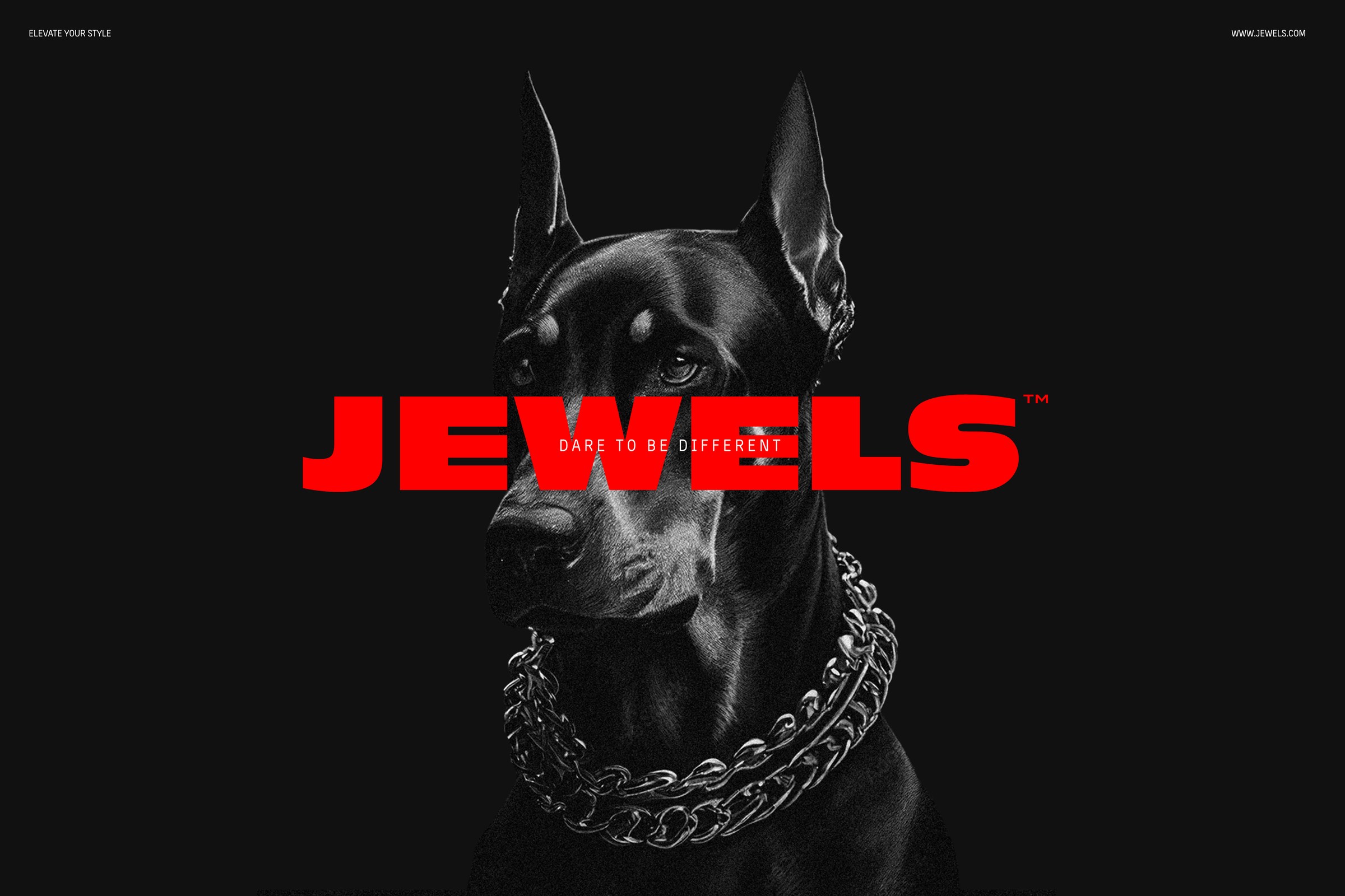 Campaign still: a Doberman wearing a chain under the Jewels wordmark