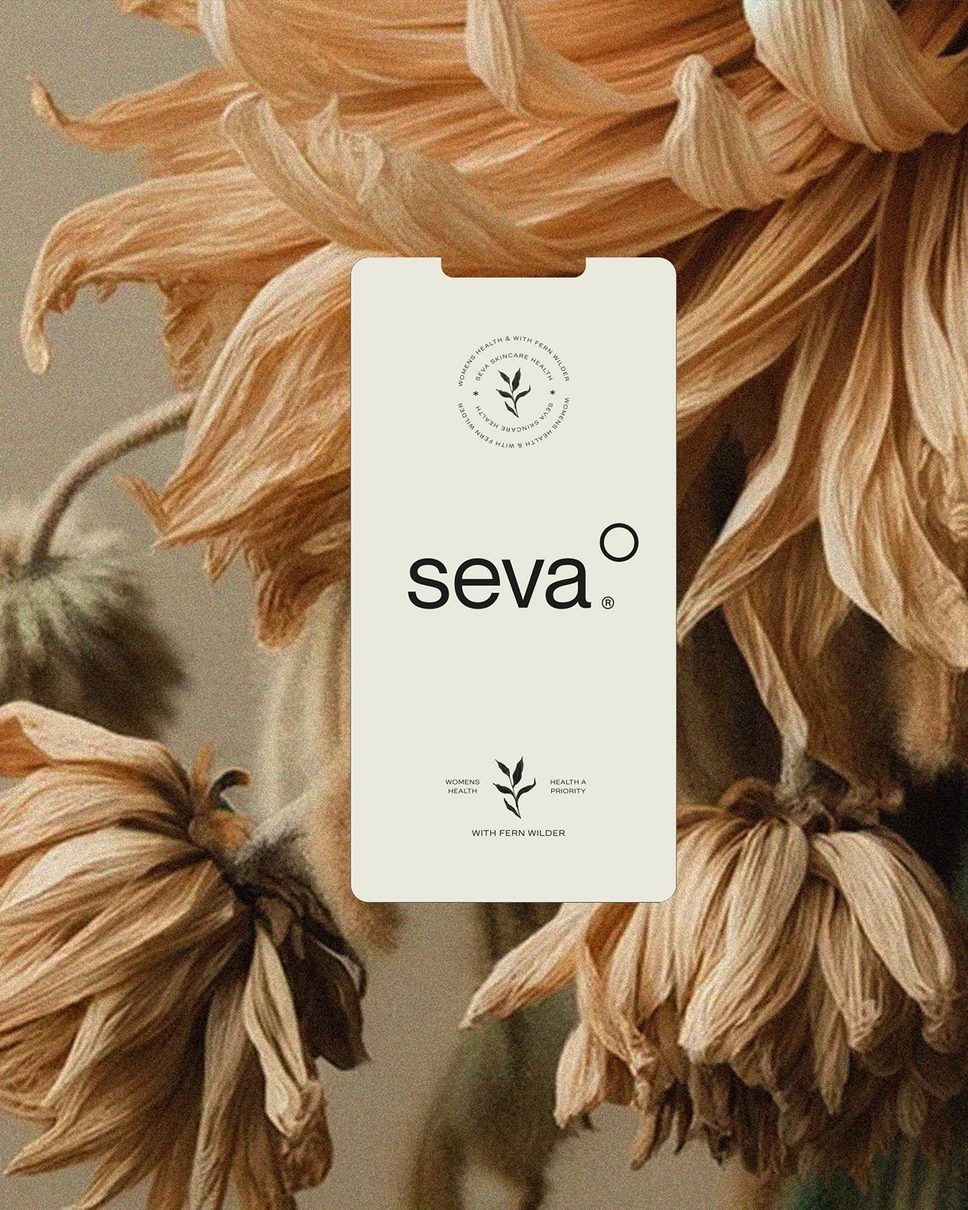 A Seva carton standing against dried chrysanthemums